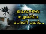 ஒடிஷாவை உலுக்கிய ஃபானி புயல் | Odisha | Fani Cyclone | Tamil Webdunia