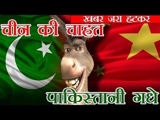 चीन को पसंद आए 'पाकिस्तानी गधे', आएंगे 'अच्छे दिन'