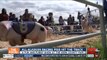 All-Alaskan Racing Pigs hit the track at the Kern County Fair