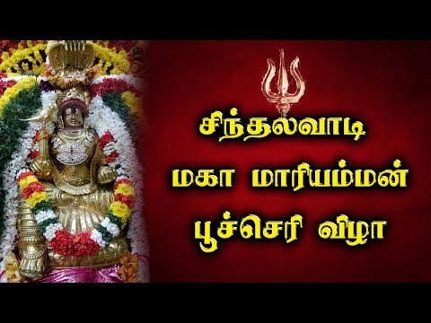 பக்தர்களுக்கு அருள் ஆசி வழங்கிய அம்மன்!