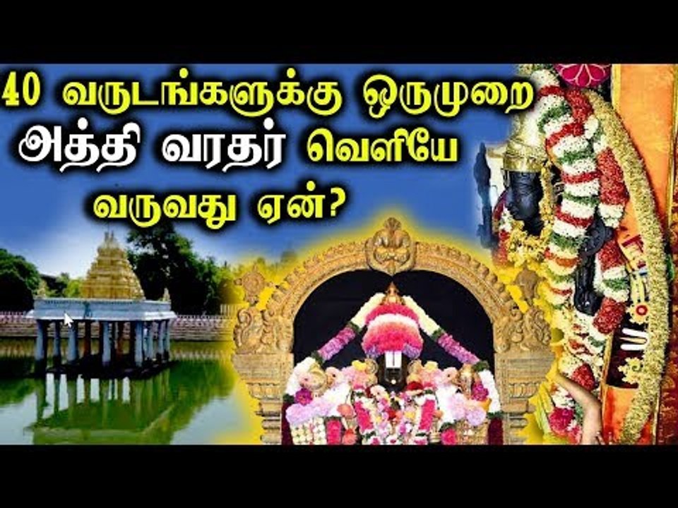 Athi Varathar | Temple | 40 வருடங்களுக்கு ஒருமுறை அத்தி வரதர் வெளியே வருவது ஏன்?
