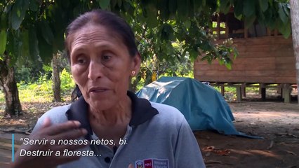 Queimadas geram alerta global