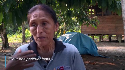 Alarme mondiale sur les feux de forêt en Amazonie