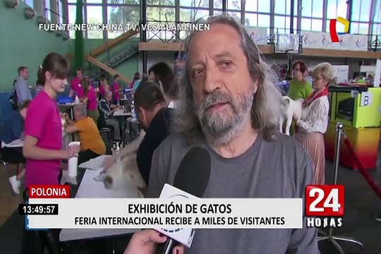 Polonia: se realizó la primera Exposición Internacional del Gato