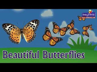 Beautiful Butterflies || Kids video || kids Story || Moral story