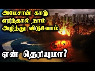 அமேசான் காடு எரிந்தால் நாம் அழிந்து விடுவோம் – ஏன் தெரியுமா?