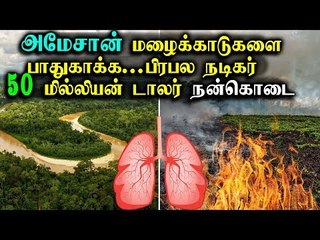 அமேசான் மழைக்காடுகளை பாதுகாக்க.. 50 மில்லியன் டாலர் நன்கொடை கொடுத்த நடிகர்...