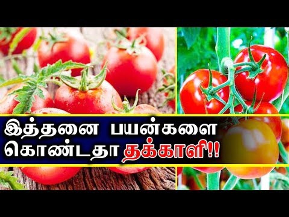 இத்தனை பயன்களை கொண்டதா தக்காளி...!! | Tomato
