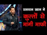 सलमान खान ने कुत्तों से मांगी माफी  Bollywood Updates