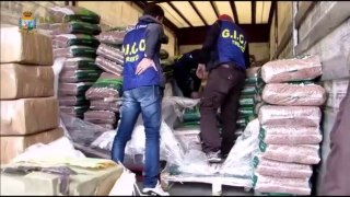 Trento - camorra e quarta mafia per traffico droga: 15 arresti