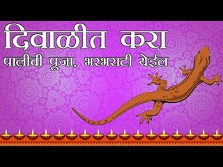 दिवाळीत करा पालीची पूजा, भरभराटी येईल