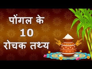 पोंगल के 10 रोचक तथ्‍य  Pongal Festival