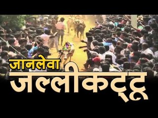 जानलेवा जल्‍लीकट्टू :सांडों से इंसानों की खूनी भिड़ंत  jallikattu festival live Video