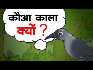 कौआ काला क्यों?  || Kids story in hindi || Moral story