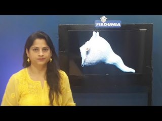 घरात ठेवा या प्रकारचे शंख, पैसाही आणि प्रेम दोन्ही मिळेल