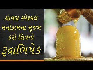શ્રાવણમાં રુદ્રાભિષેક આ રીતે કરશો તો થશે લાભ -  rudrabhishek in sawan