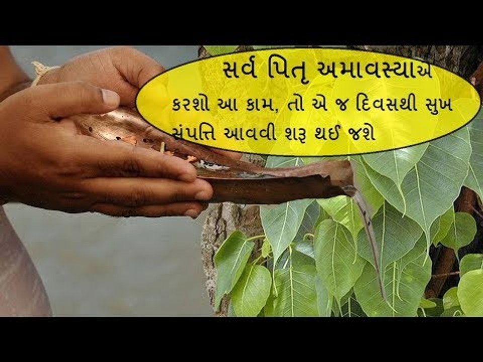 સર્વ પિતૃ અમાવસ્યાના દિવસે કરો આ નાનકડો ઉપાય, બદલાય જશે તમારુ નસીબ