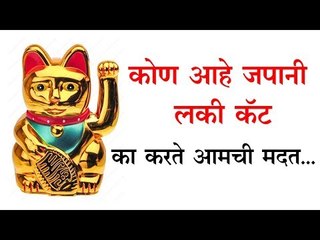 हात हालवत असलेली लकी कॅट कश्या प्रकारे करते मदत... जाणून घ्या पूर्ण कहाणी