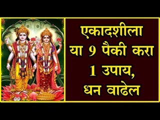 एकादशी; हे उपाय केल्यास पुर्ण होतील सर्व इच्छा