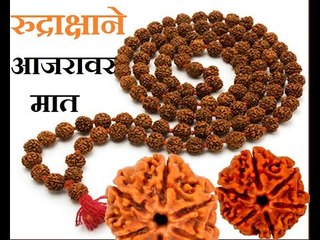 14 रुद्राक्षांची माहिती, प्रत्येक रुद्राक्ष देतं अलभ्य लाभ