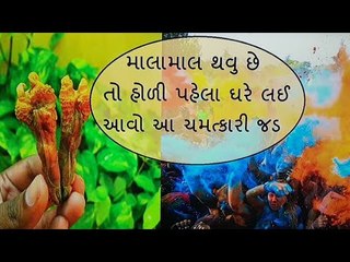 હોળી પહેલા લઈ આવો આ એક વસ્તુ, એટલો પૈસો આવશે કે સાચવી નહી શકો