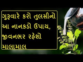 દર ગુરૂવારે કરશો તુલસીનો આ ઉપાય તો નહી રહે પૈસાની કમી