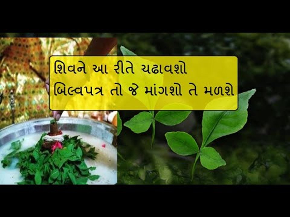 શિવને આ રીતે ચઢાવશો બિલ્વપત્ર તો જે માંગશો તે મળશે