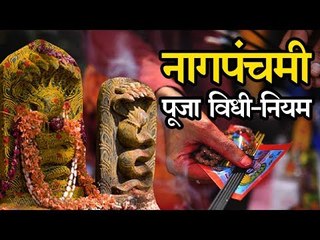 नागपंचमी Nag Panchami puja vidhi, niyam