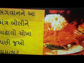 ભગવાનને ચોખા ચઢાવતા પહેલા બોલો આ મંત્ર પછી જુઓ ચમત્કાર