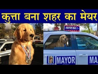 कुत्ता बना शहर का मेयर, मिली सारी सुविधाएं...