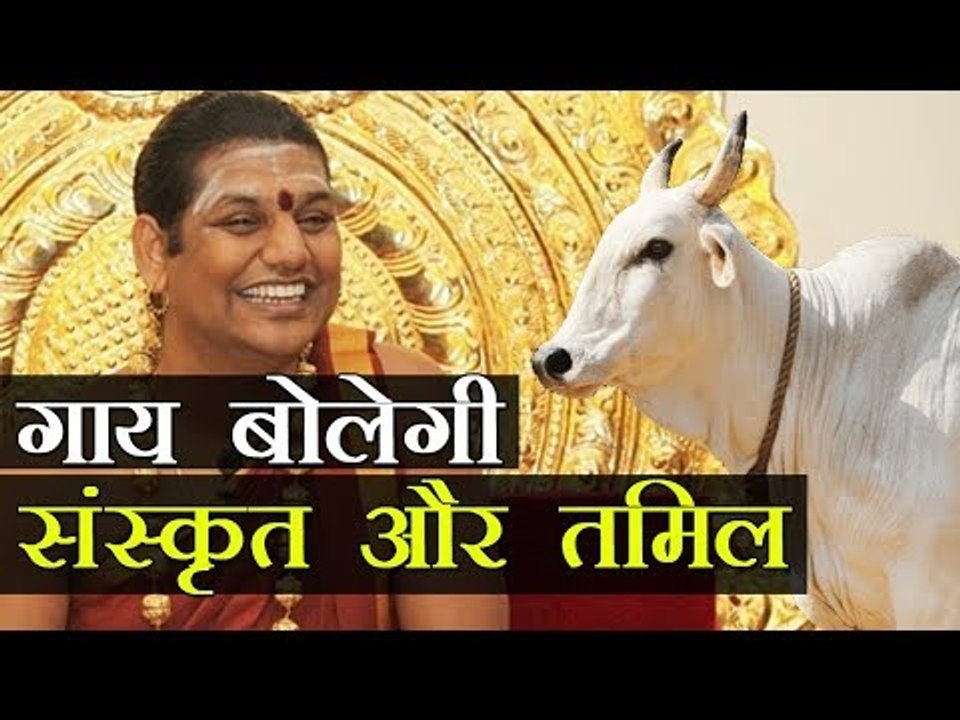 गाय बोलेगी  संस्कृत और तमिल