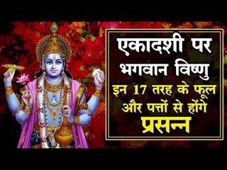 Devuthani Ekadashi 2018 : यह चढ़ाएं भगवान विष्णु को.. 10,000 जन्मों के पाप हो जाएंगे नष्ट