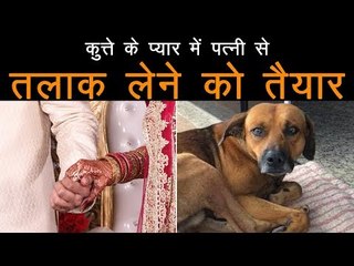 पत्नी से ज्यादा कुत्ते से प्यार, कुत्ते को साथ रखने के लिए तलाक लेने को तैयार