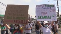 Jóvenes de América paralizan las calles para pedir acciones inmediatas contra cambio climático
