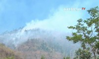 Kebakaran Hutan Gunung Gajah Terus Meluas