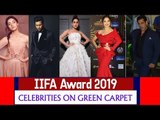 IIFA AWARDS 2019 : CELEBRITIES ON GREEN CARPET