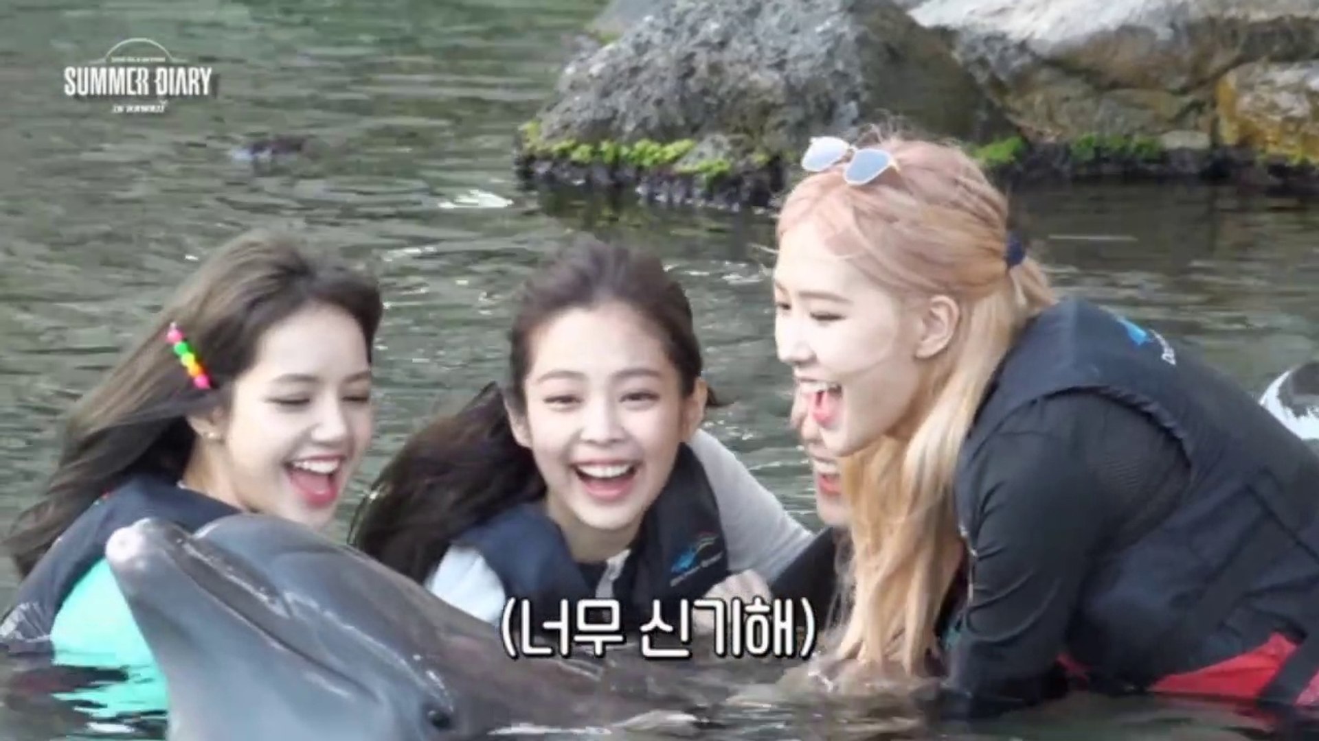 2019 BLACKPINK's Summer Diary in Hawaii - Dolphin Quest Oahu CUT