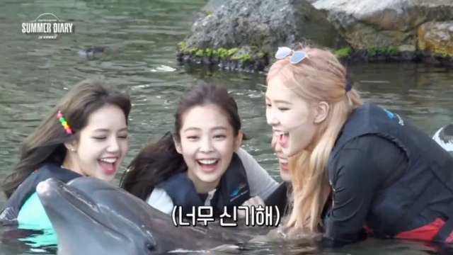 2019 BLACKPINK's Summer Diary in Hawaii - Dolphin Quest Oahu CUT (NO SUB)