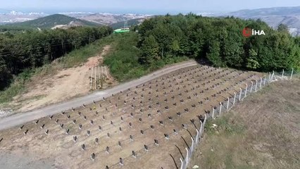 "Hayvan Mezarlığı" ile halk sağlığı korunmaya çalışılıyor.