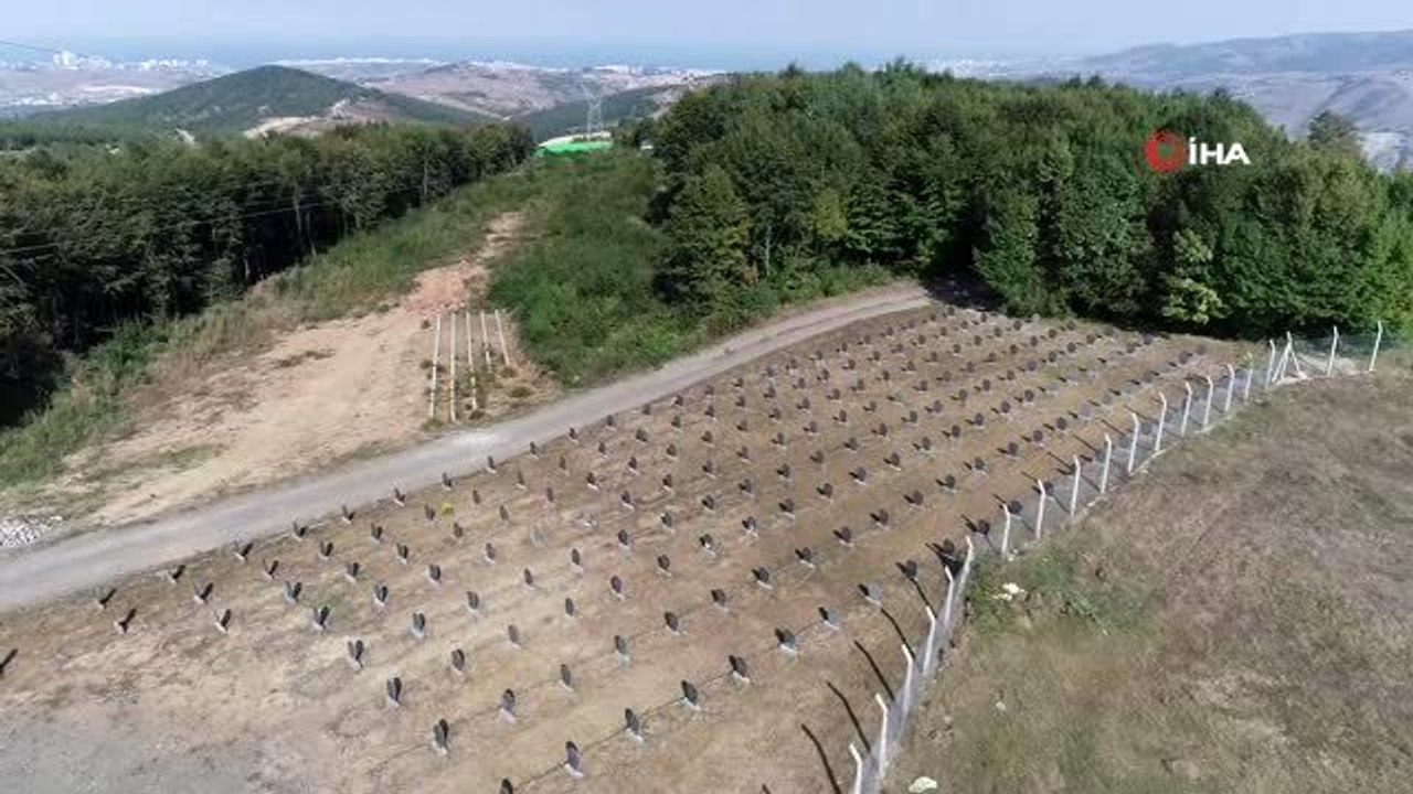"Hayvan Mezarlığı" ile halk sağlığı korunmaya çalışılıyor.