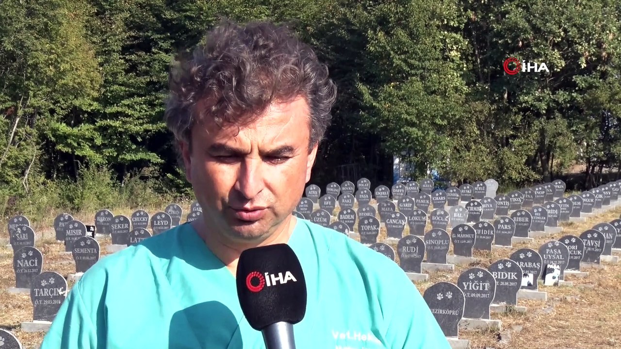 “Hayvan Mezarlığı” ile halk sağlığı korunmaya çalışılıyor...Evcil hayvan mezarları havadan görüntülendi