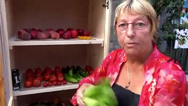 Inauguration des « Espaces Primeurs Solidaires » à Agde