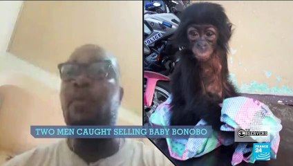 Activists bring poachers to justice in DR Congo, water outages in Guadeloupe and more