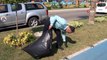 Belediye başkanı vatandaşlarla birlikte çöp topladı
