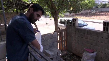 Hayvansever imam, 6 sokak kedisine sahip çıktı