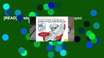 [READ] Stretching Excercises Encyclopedia