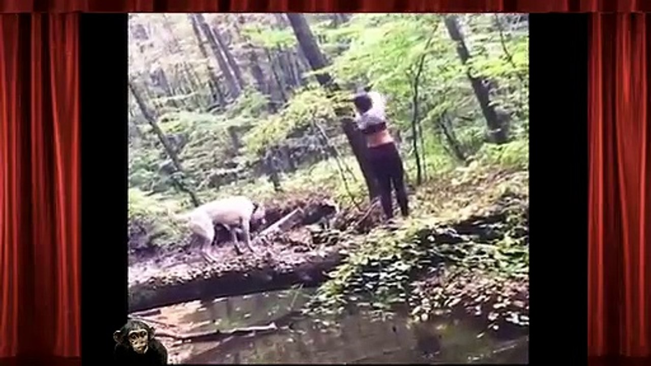Funny Fails Video Compilation 2019 -Part 2