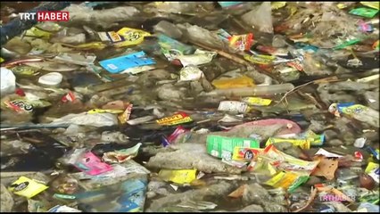 Daha yaşanılır bir çevre için vatandaşlara da görev düşüyor