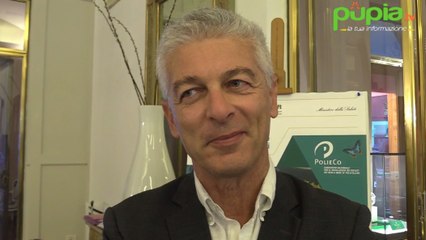Roghi impianti rifiuti, Morra (M5S): "Regia criminale e Procure distratte" (20.09.19)