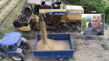 Çeltik Hasadında Hedef 350 Ton